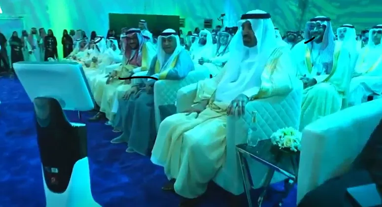 ميني
